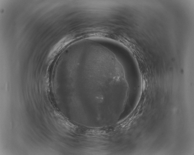 X0000062150339200512091320