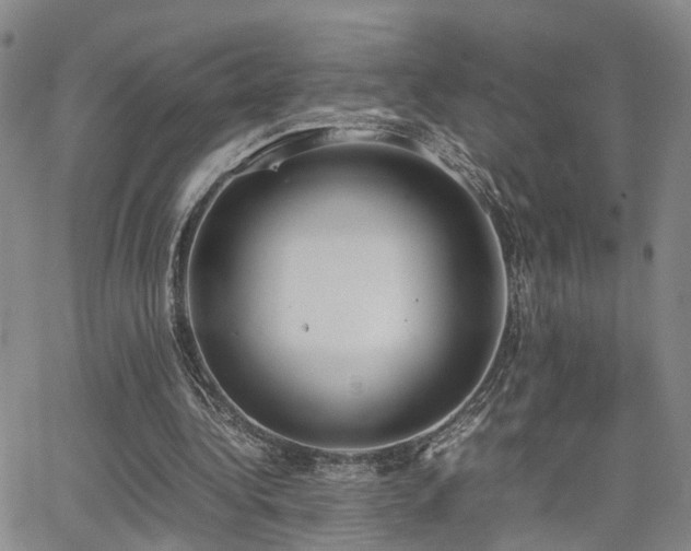 X0000062150340200512091320