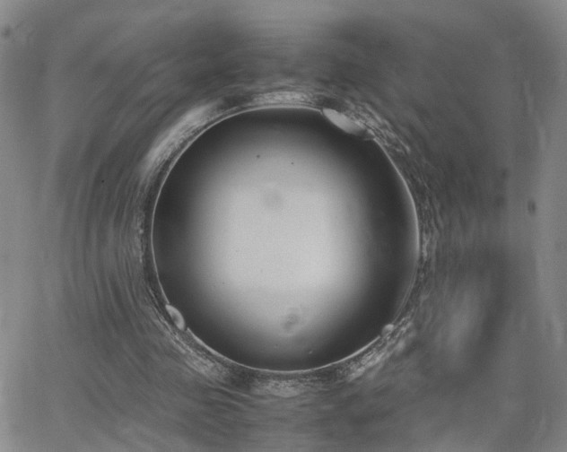 X0000062150341200512091320