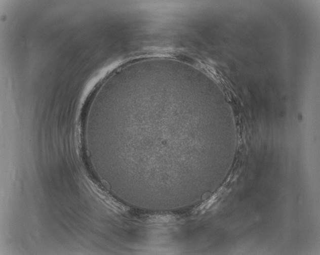 X0000062150342200512091320