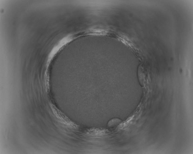 X0000062150343200512091320