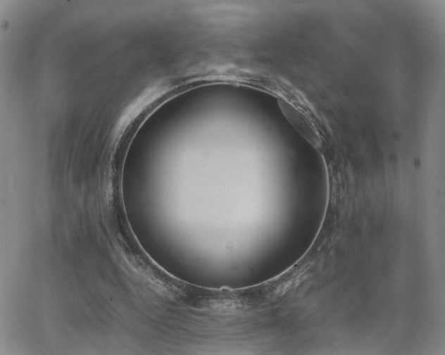 X0000062150344200512091320