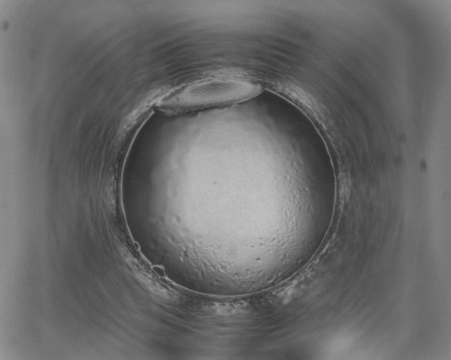 X0000062150345200512091320