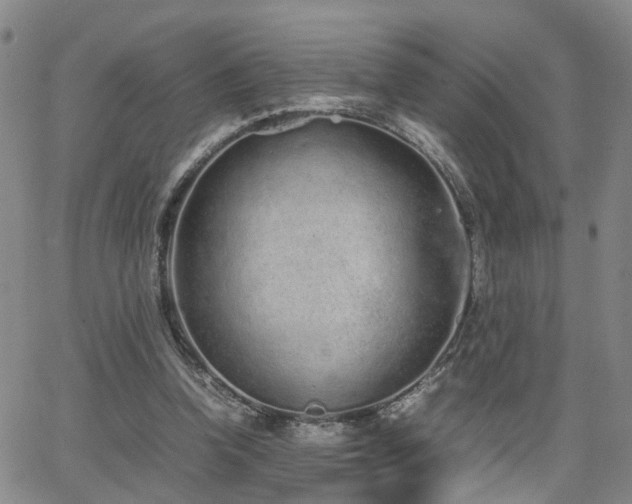 X0000062150346200512091320