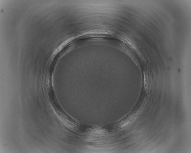 X0000062150348200512091320