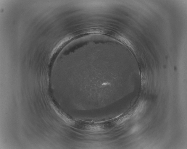 X0000062150349200512091320