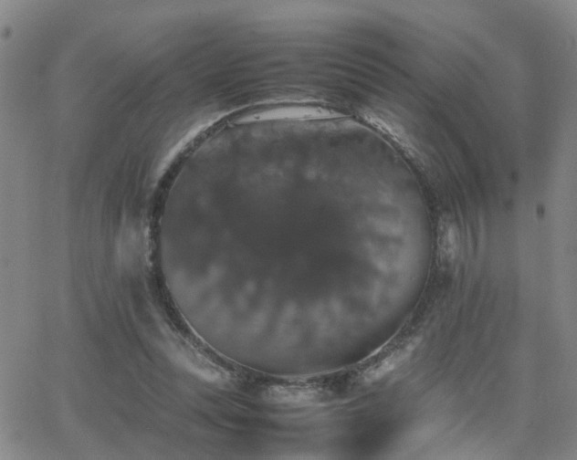 X0000062150351200512091320