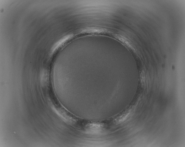 X0000062150352200512091320