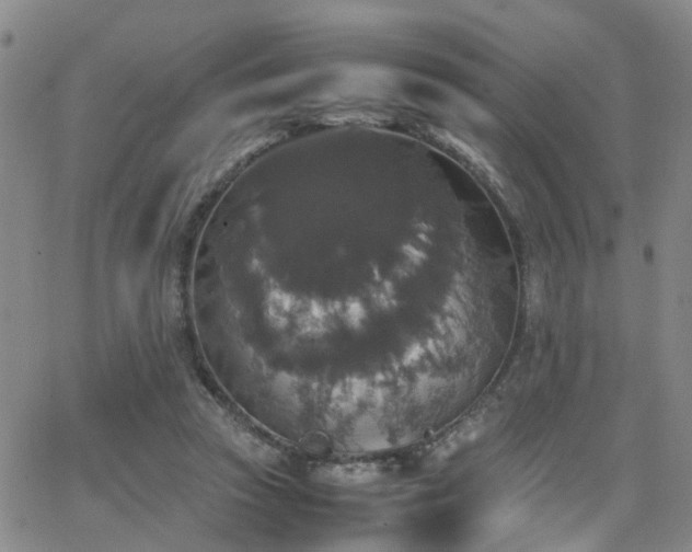 X0000062150353200512091320