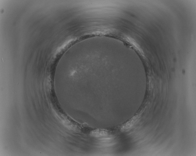 X0000062150354200512091320