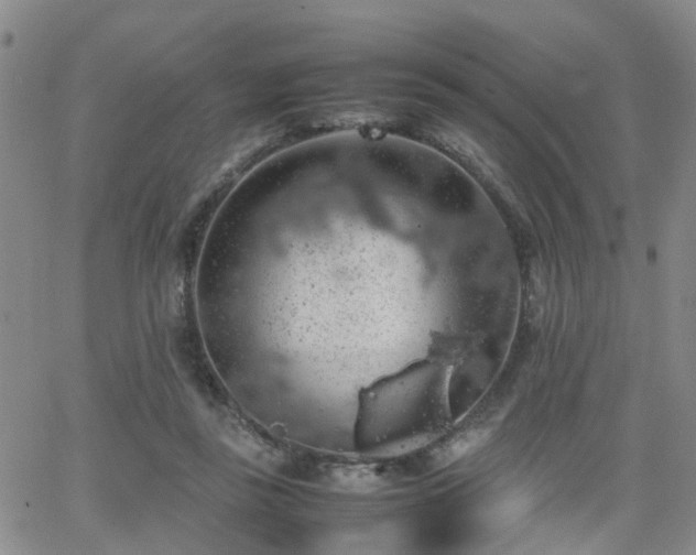 X0000062150355200512091320