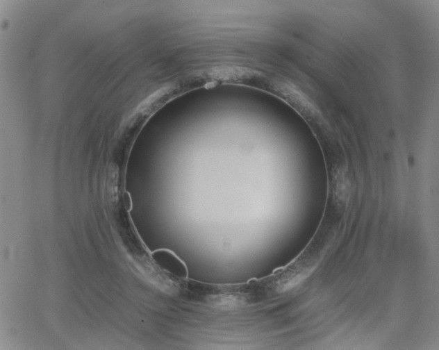 X0000062150356200512091320