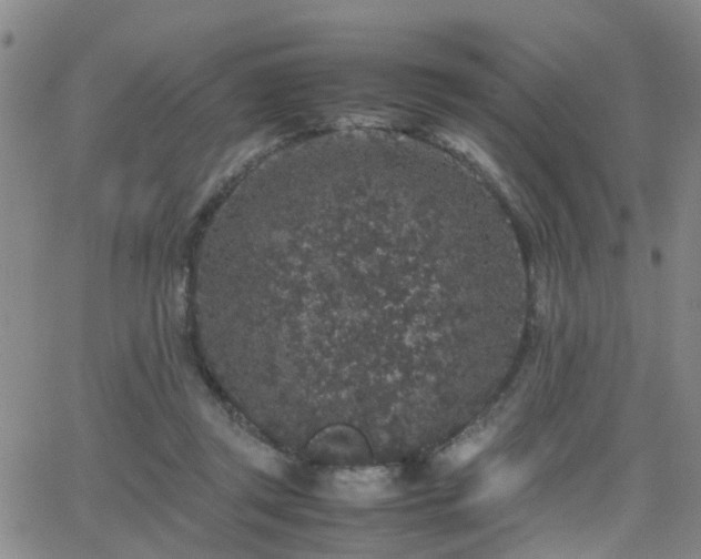 X0000062150357200512091320