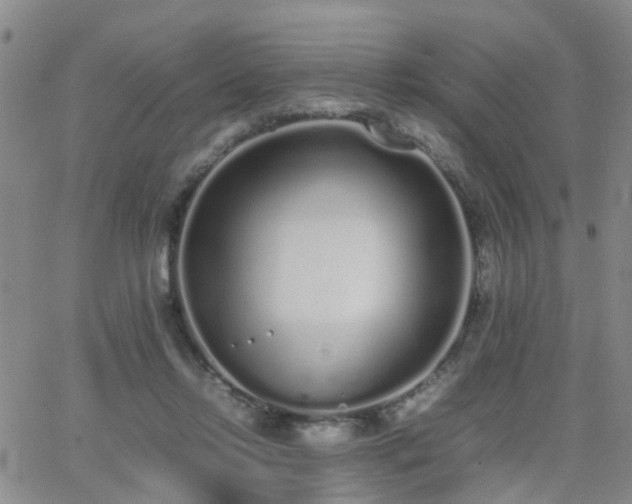 X0000062150358200512091320