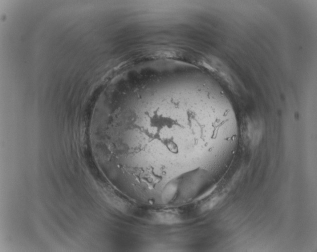 X0000062150359200512091320