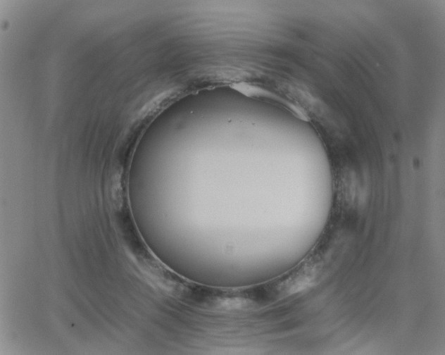 X0000062150360200512091320