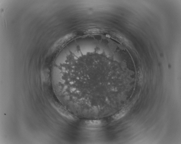 X0000062150361200512091320