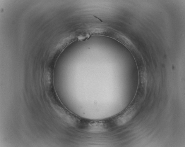 X0000062150362200512091320