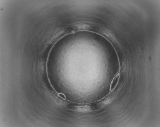 X0000062150363200512091320