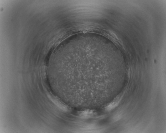 X0000062150366200512091320