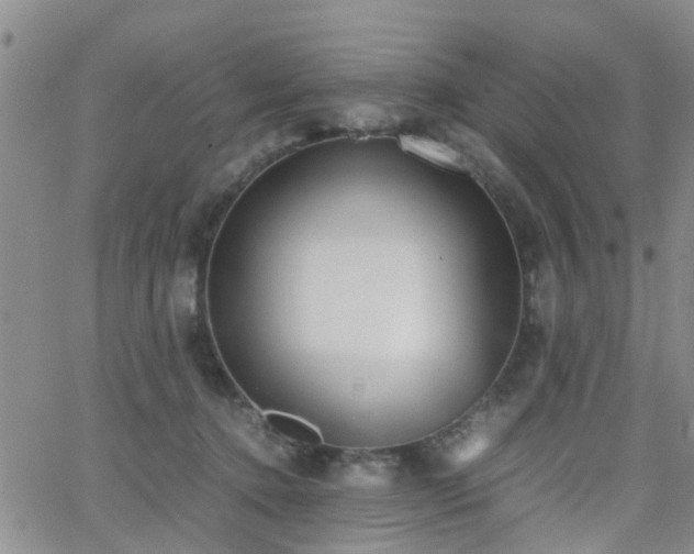 X0000062150368200512091320