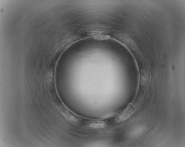 X0000062150369200512091320