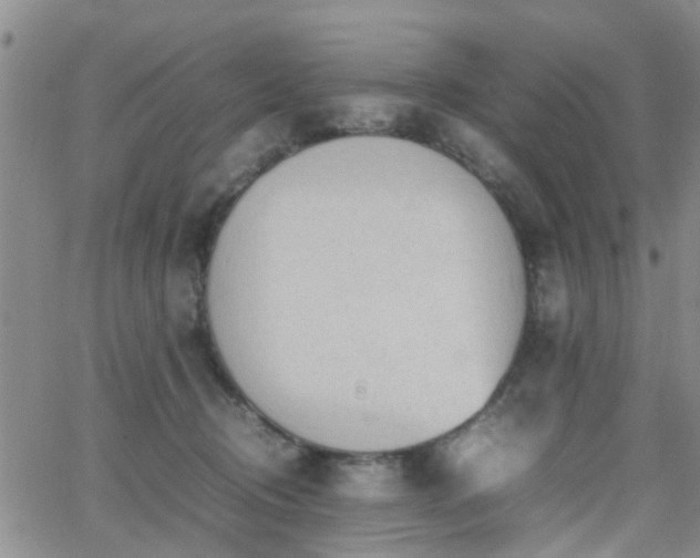 X0000062150370200512091320