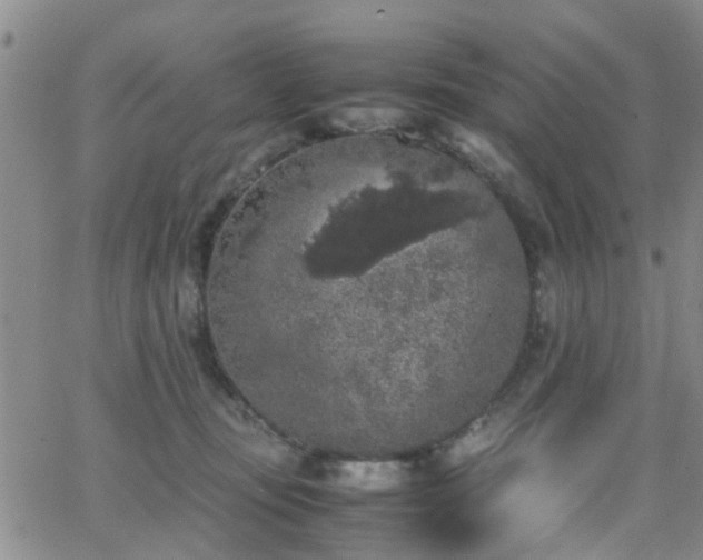 X0000062150371200512091320