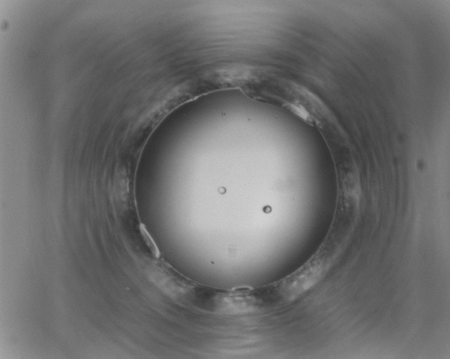 X0000062150372200512091320