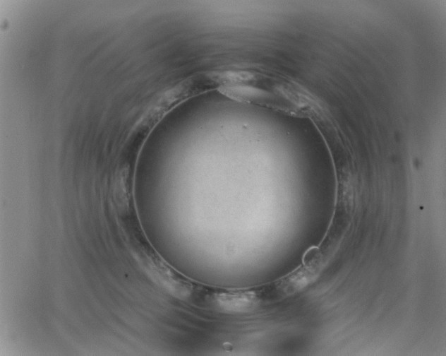 X0000062150373200512091320