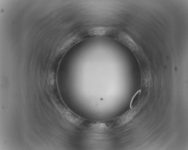 X0000062150374200512091320