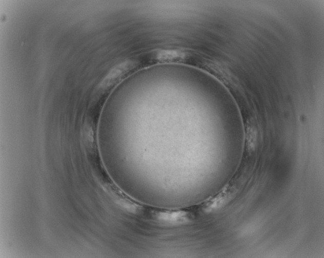 X0000062150375200512091320