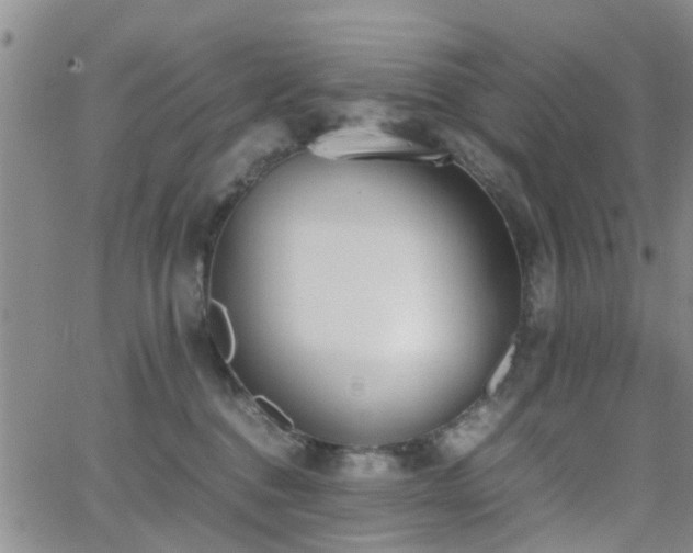 X0000062150376200512091320