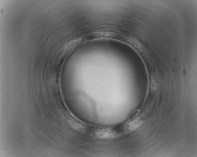 X0000062150377200512091321