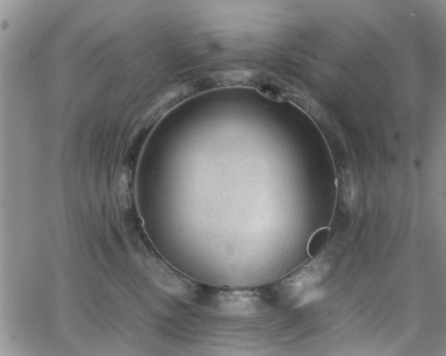 X0000062150378200512091321