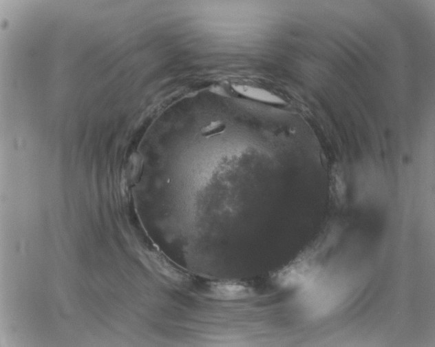 X0000062150380200512091321