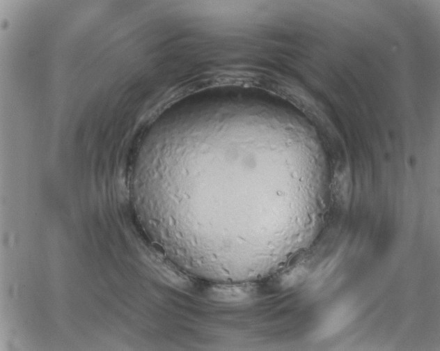 X0000062150381200512091321