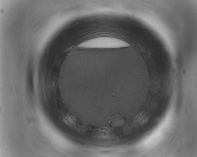 X0000062150382200512091321