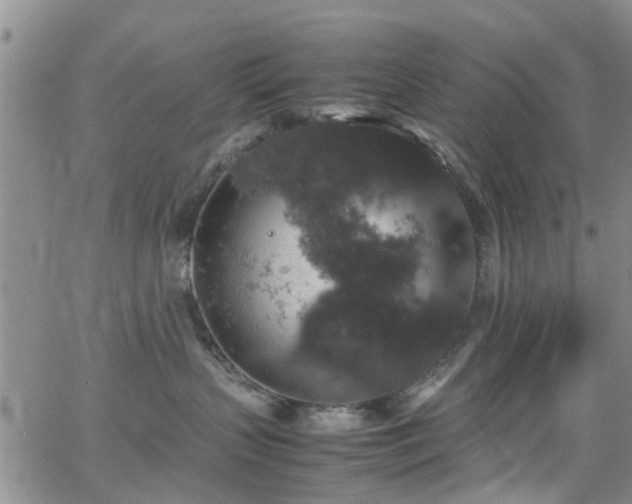 X0000062150383200512091321