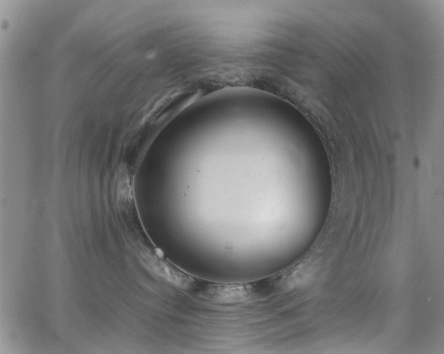 X0000062150384200512091321