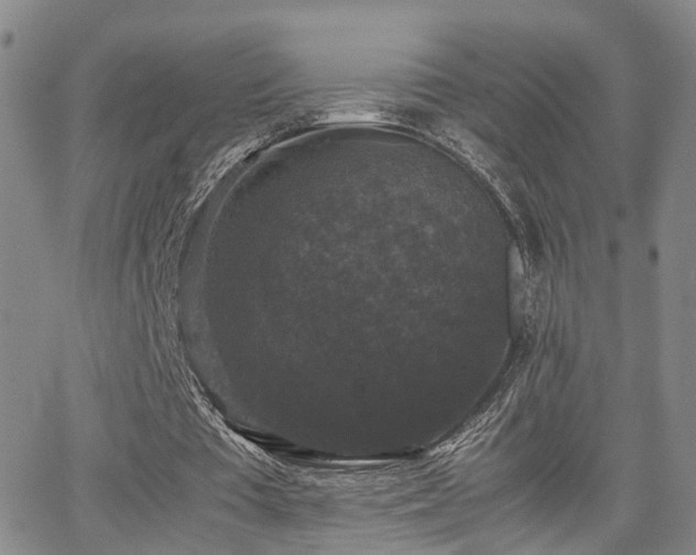 X0000062150385200512091320