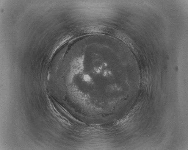 X0000062150386200512091320