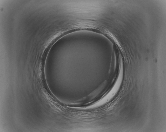 X0000062150387200512091320