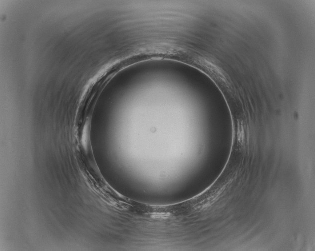 X0000062150388200512091320