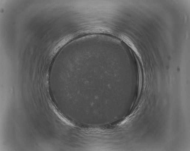 X0000062150389200512091320