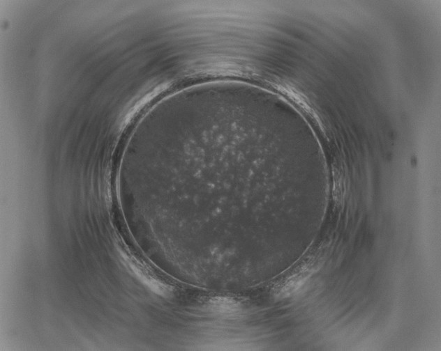 X0000062150390200512091320