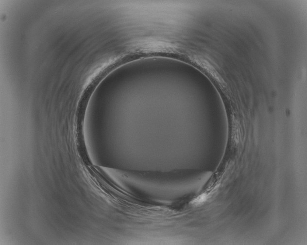 X0000062150391200512091320