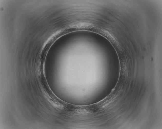 X0000062150392200512091320