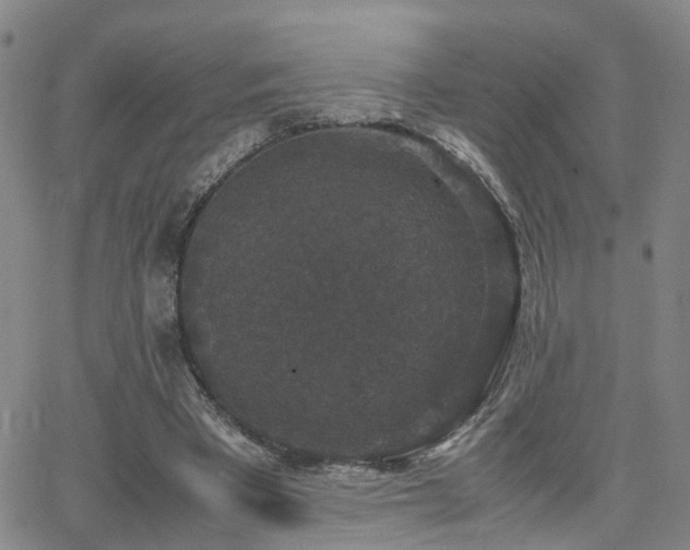 X0000062150393200512091320