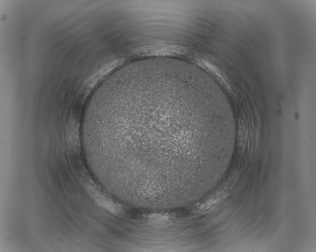 X0000062150394200512091320